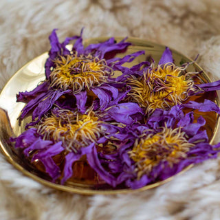 Organic Blue Lotus Whole Flowers - Adaptogenic